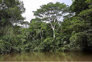 《女神异闻录：夜幕魅影》国际服6月26日发布 Steam和手机都能玩